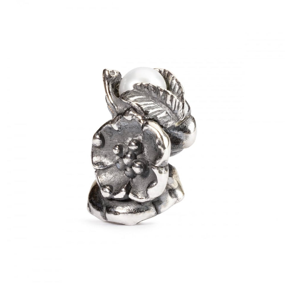 Trollbeads Buckthorn of May