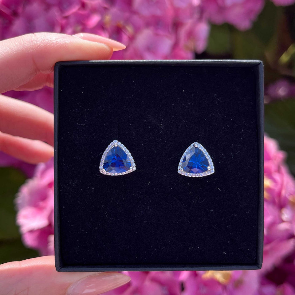 Francis & Gaye Silver & Blue Stone Set Earring Studs