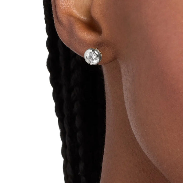 Michael Kors Ladies Brilliance Round Stone Set Stud Earrings