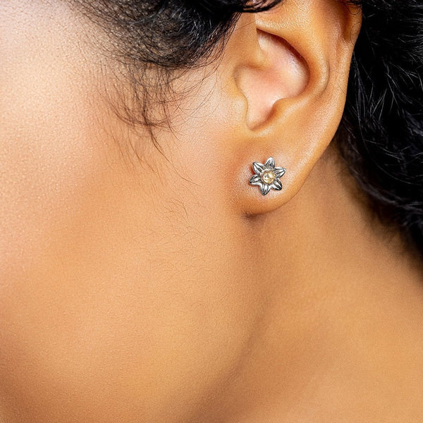 Clogau Daffodil Earrings