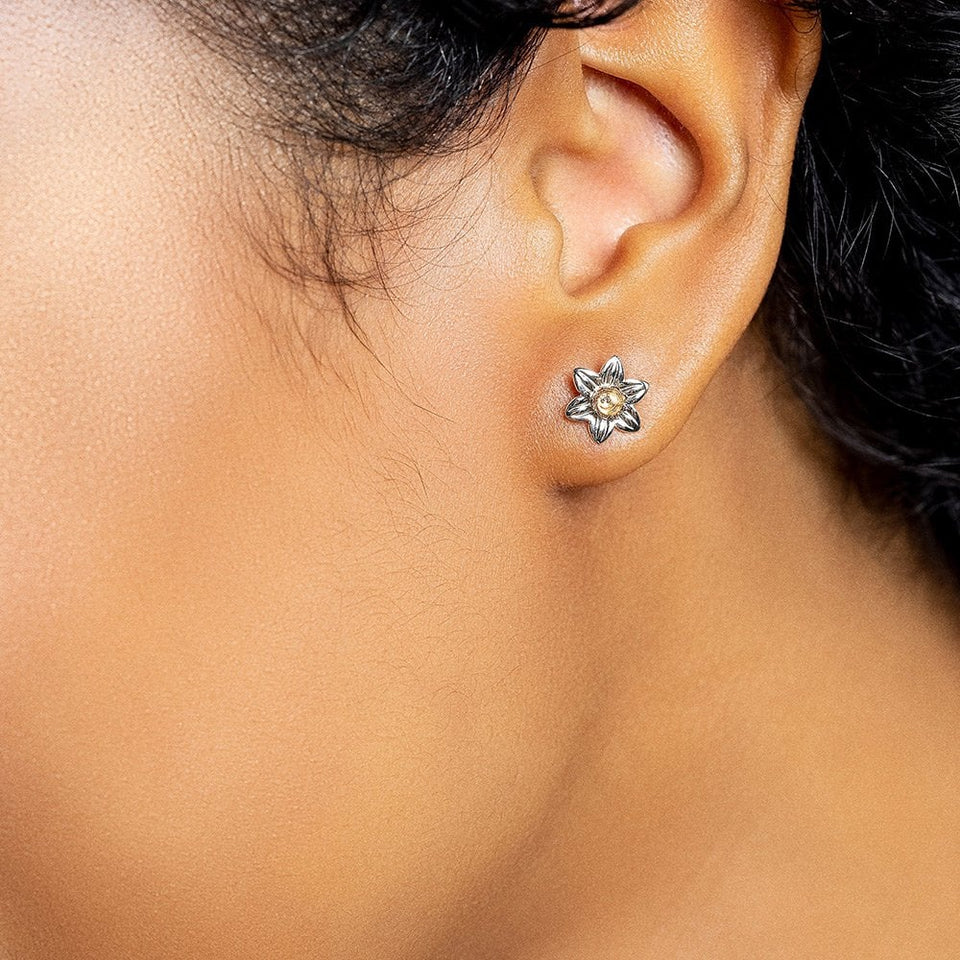 Clogau Daffodil Earrings