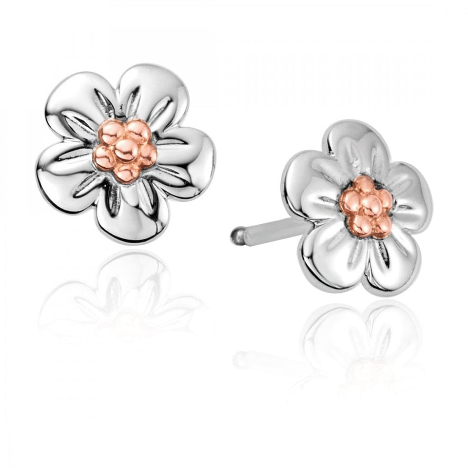 Clogau Forget Me Not Earrings