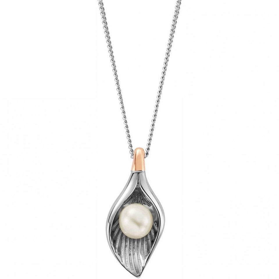 Clogau Ladies Natures Wonder Oyster Shell Necklace