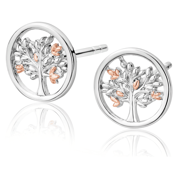 Clogau Tree of Life Earrings