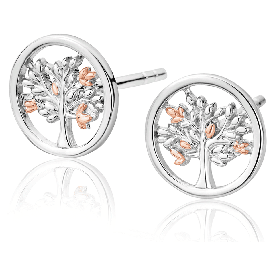 Clogau Tree of Life Earrings