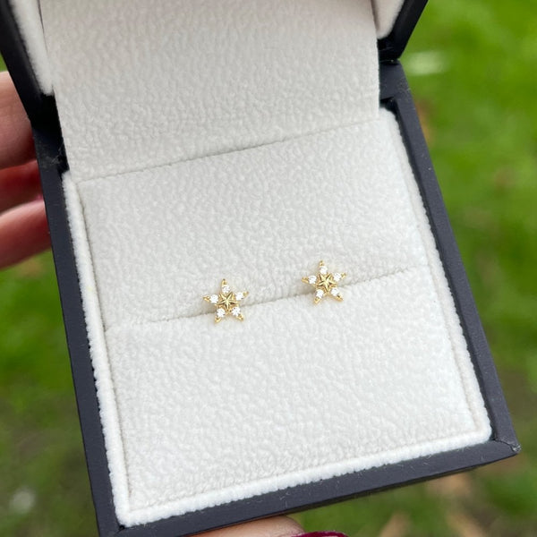 Francis & Gaye 9ct Gold Stone Set Star Studs
