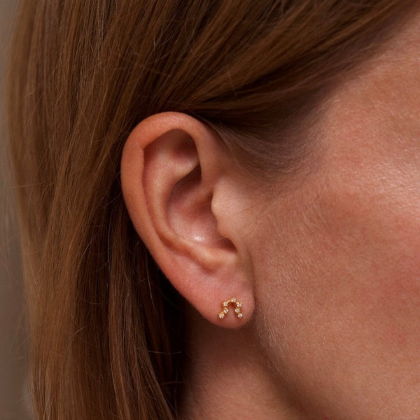 Francis & Gaye Ladies Gold Plated Aquarius Zodiac Constellation Earrings
