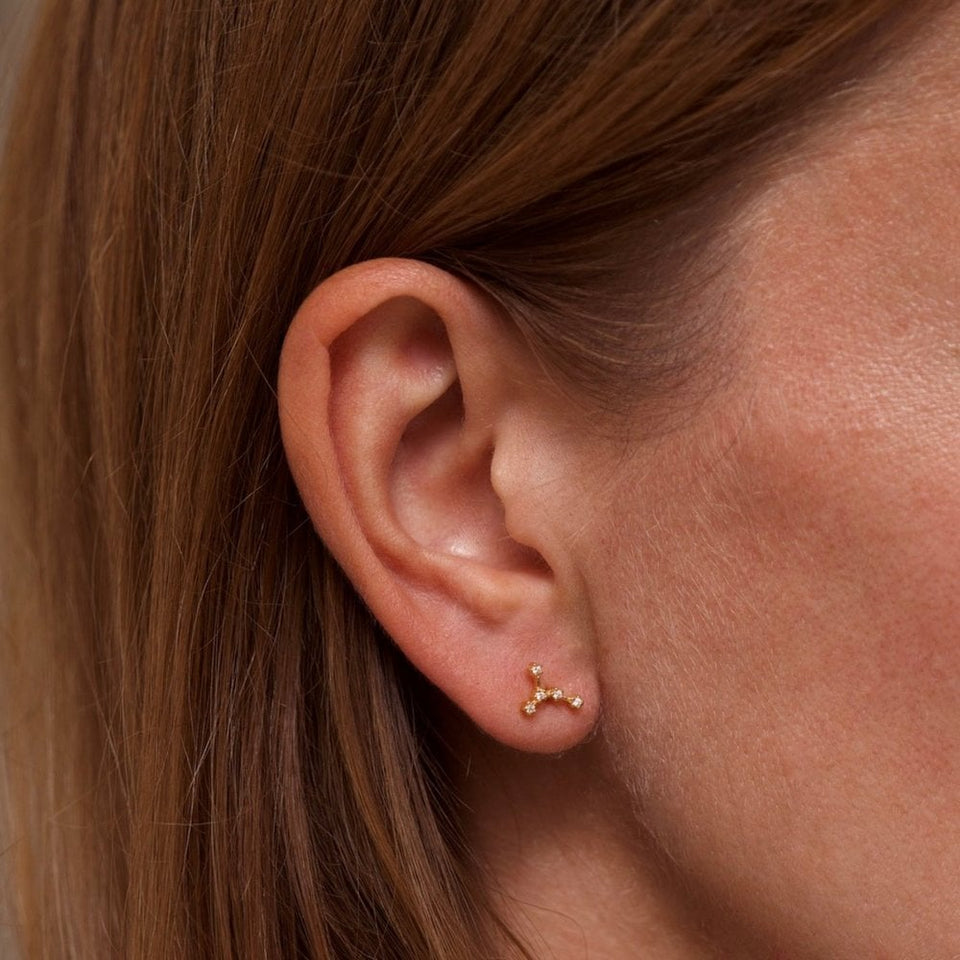 Francis & Gaye Ladies Gold Plated Cancer Zodiac Constellation Earrings