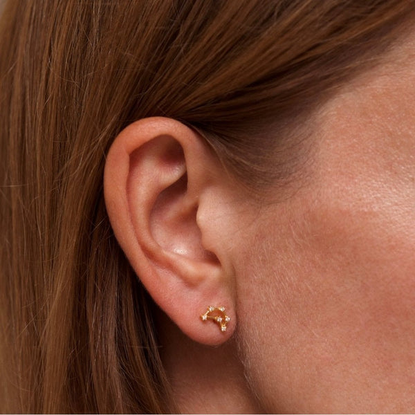 Francis & Gaye Ladies Gold Plated Capricorn Zodiac Constellation Earrings