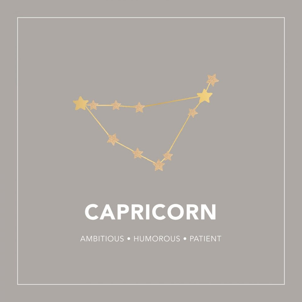 Francis & Gaye Ladies Gold Plated Capricorn Zodiac Constellation Earrings