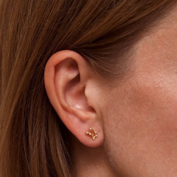 Francis & Gaye Ladies Gold Plated Gemini Zodiac Constellation Earrings