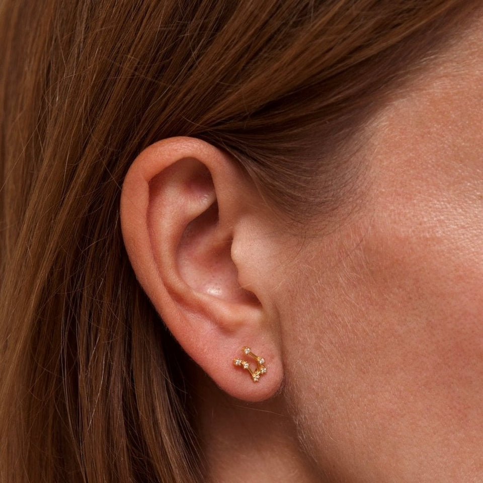 Francis & Gaye Ladies Gold Plated Gemini Zodiac Constellation Earrings