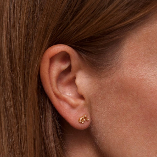 Francis & Gaye Ladies Gold Plated Leo Zodiac Constellation Earrings