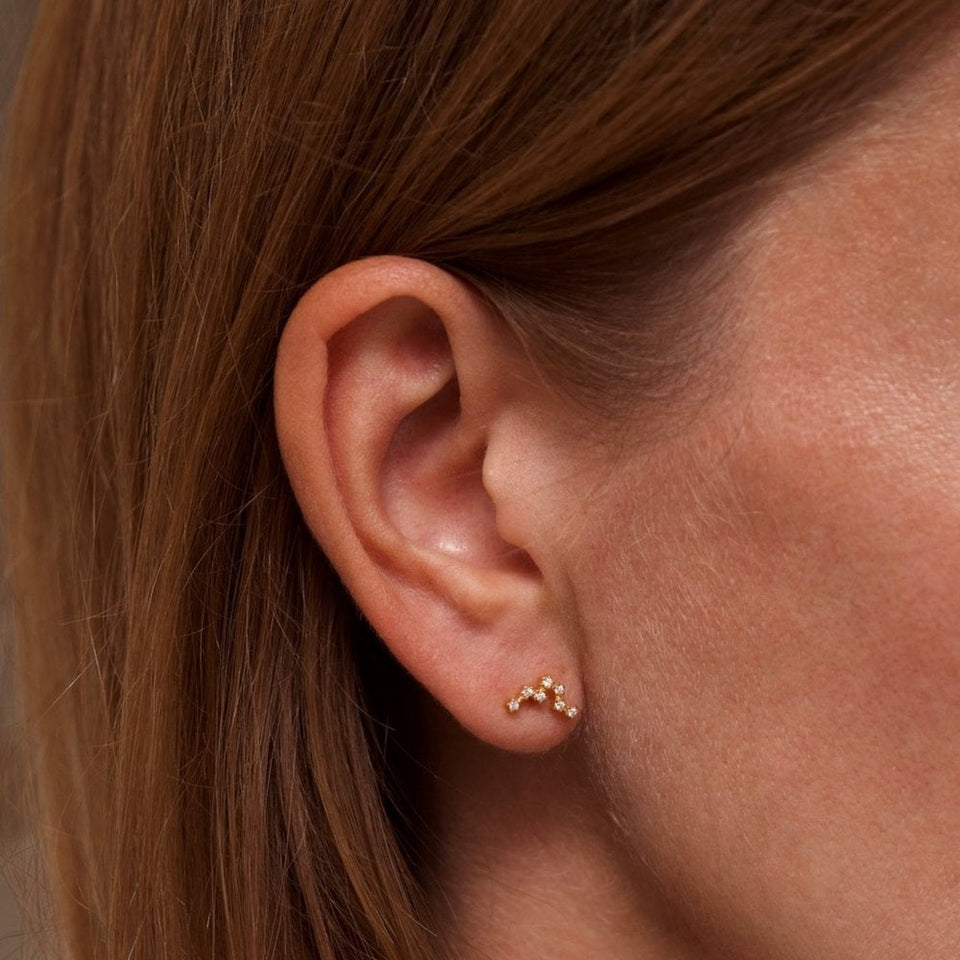 Francis & Gaye Ladies Gold Plated Pisces Zodiac Constellation Earrings