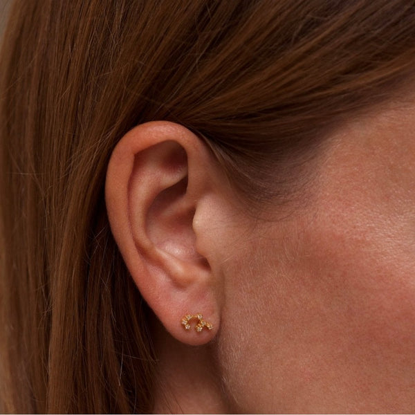 Francis & Gaye Ladies Gold Plated Sagittarius Zodiac Constellation Earrings
