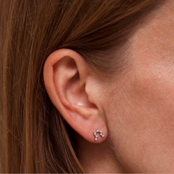 Francis & Gaye Ladies Silver Aquarius Zodiac Constellation Earrings