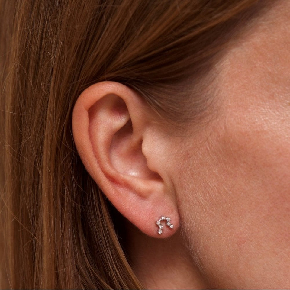 Francis & Gaye Ladies Silver Aquarius Zodiac Constellation Earrings