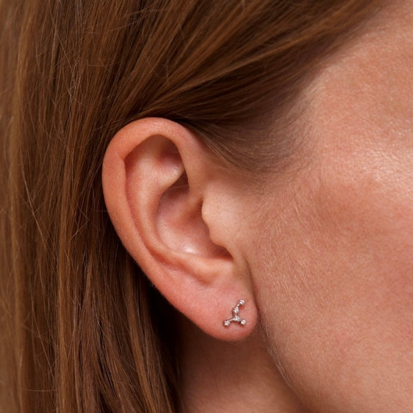 Francis & Gaye Ladies Silver Cancer Zodiac Constellation Earrings