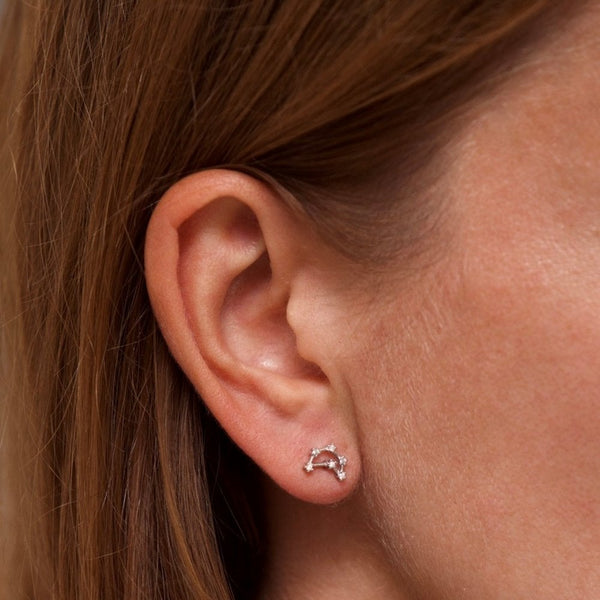 Francis & Gaye Ladies Silver Capricorn Zodiac Constellation Earrings