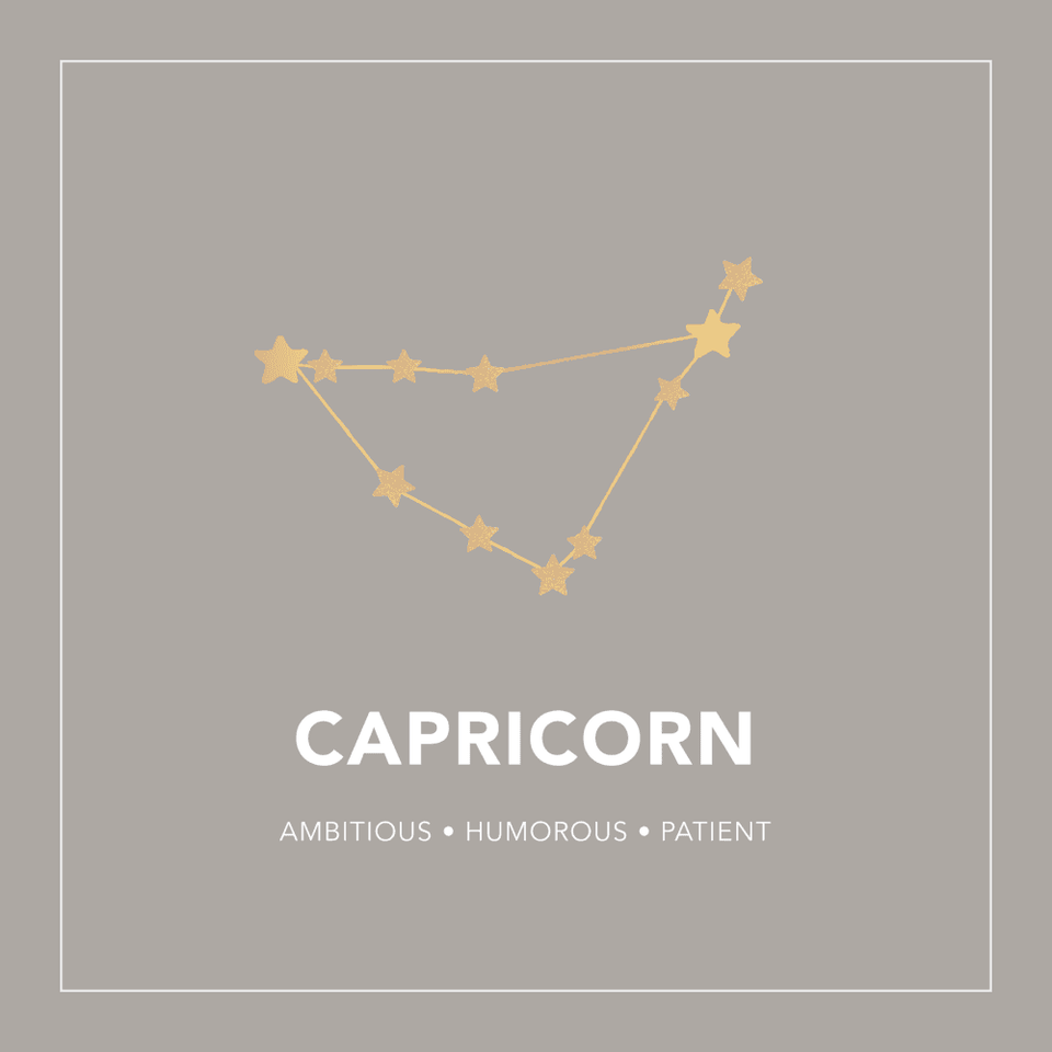 Francis & Gaye Ladies Silver Capricorn Zodiac Constellation Earrings