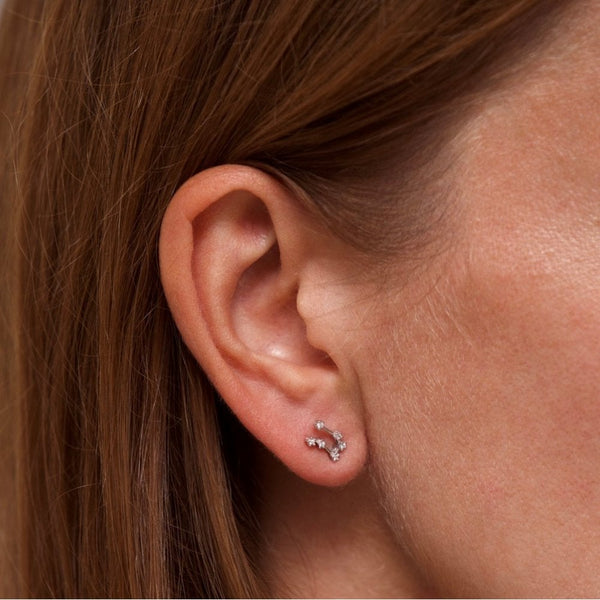 Francis & Gaye Ladies Silver Gemini Zodiac Constellation Earrings