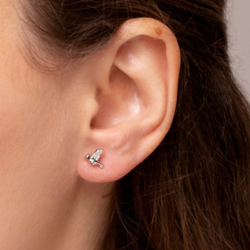 Francis & Gaye Ladies Silver Hummingbird Earrings
