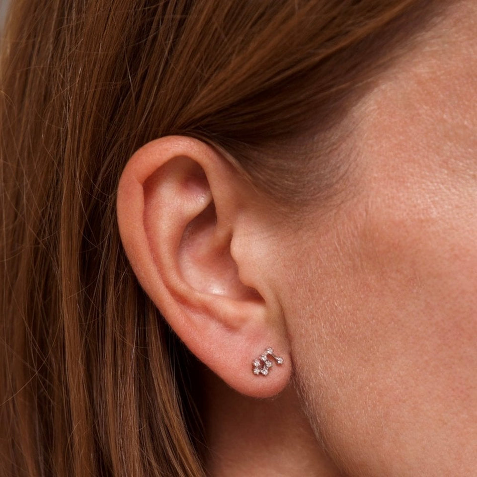 Francis & Gaye Ladies Silver Leo Zodiac Constellation Earrings