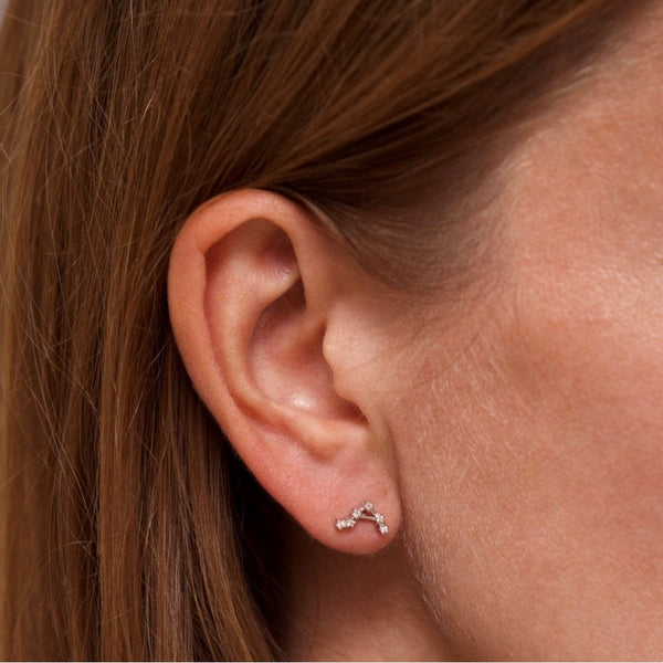 Francis & Gaye Ladies Silver Libra Zodiac Constellation Earrings