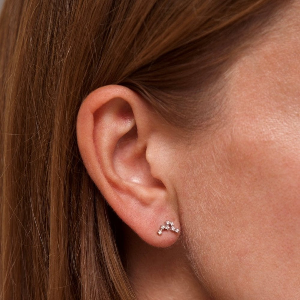 Francis & Gaye Ladies Silver Pisces Zodiac Constellation Earrings