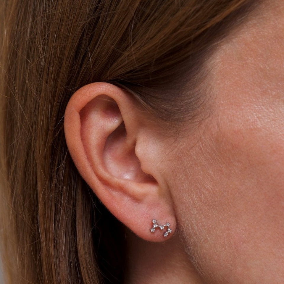 Francis & Gaye Ladies Silver Scorpio Zodiac Constellation Earrings
