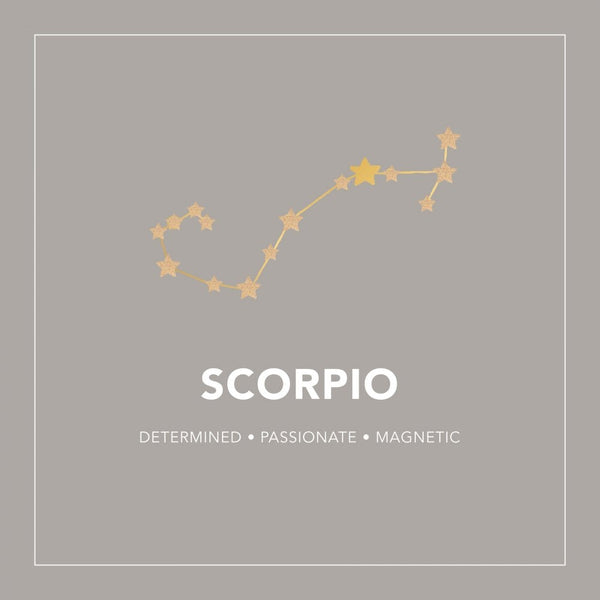 Francis & Gaye Ladies Silver Scorpio Zodiac Constellation Earrings
