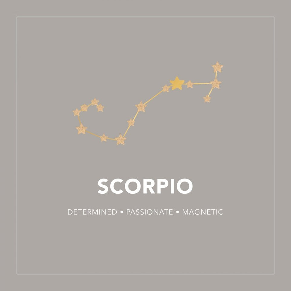 Francis & Gaye Ladies Silver Scorpio Zodiac Constellation Earrings