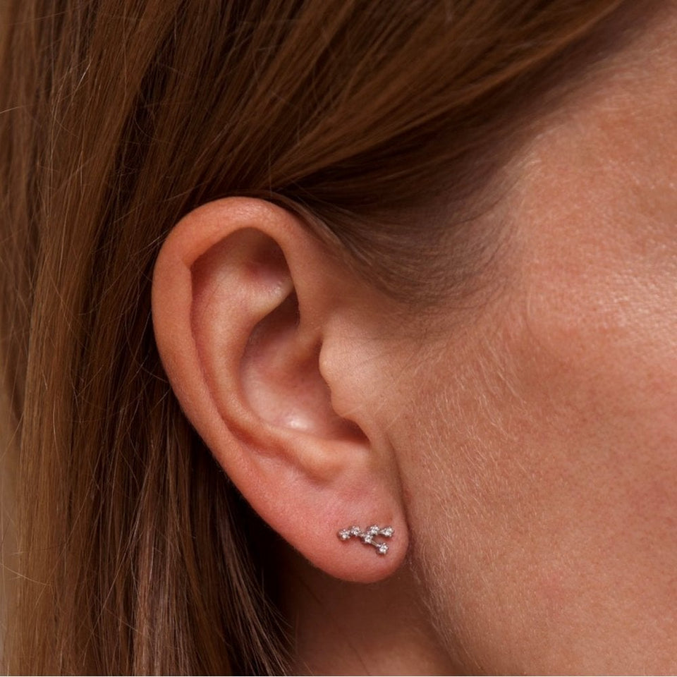 Francis & Gaye Ladies Silver Taurus Zodiac Constellation Earrings