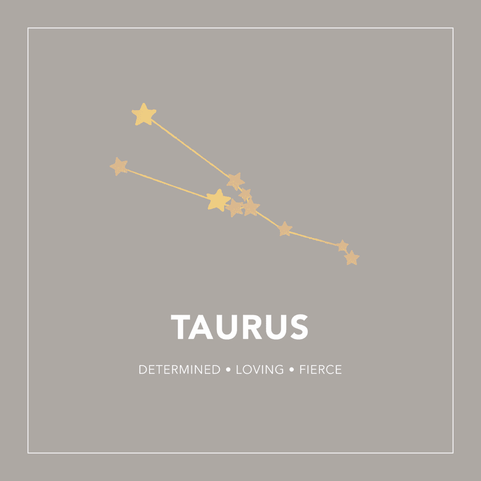 Francis & Gaye Ladies Silver Taurus Zodiac Constellation Earrings