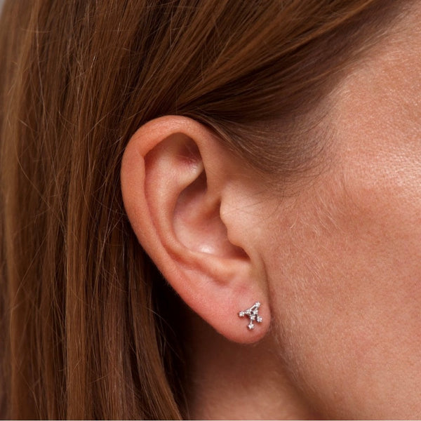 Francis & Gaye Ladies Silver Virgo Zodiac Constellation Earrings