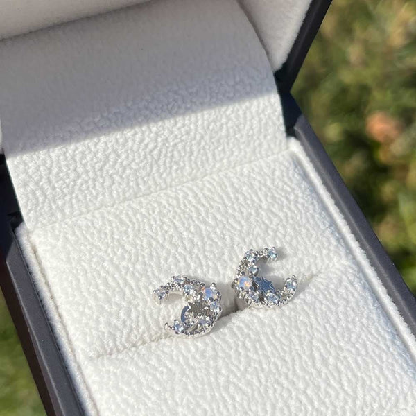 Francis & Gaye Silver & Stone Set Moon & Star Earrings