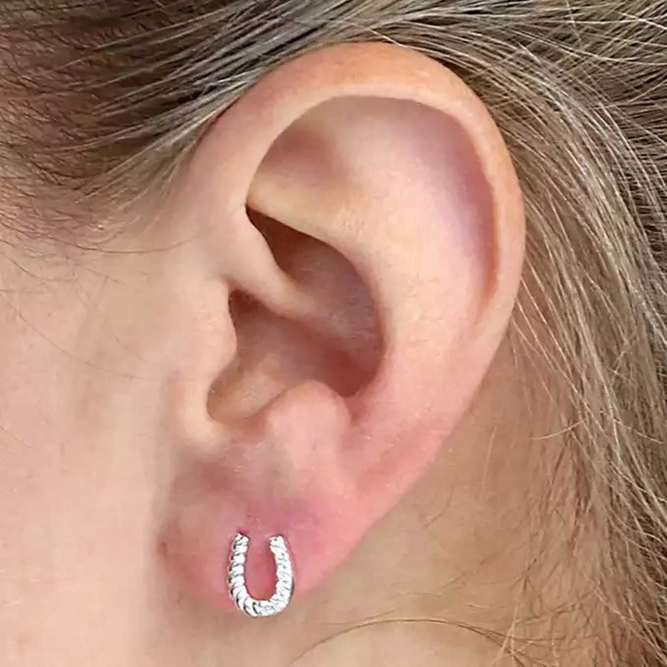 Francis & Gaye Sterling Silver Stone Set Horseshoe Earrings