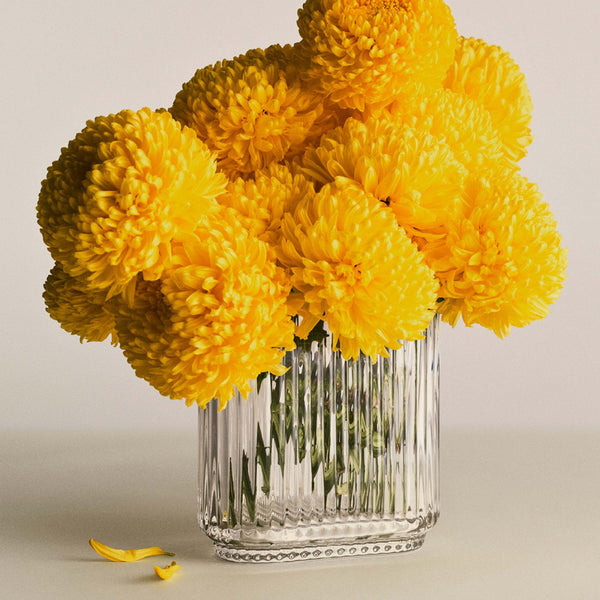 Georg Jensen BERNADOTTE Oval Vase