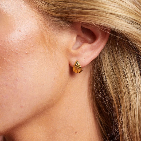 Hot Diamonds Paris 18ct Gold Plated Shell Stud Earrings