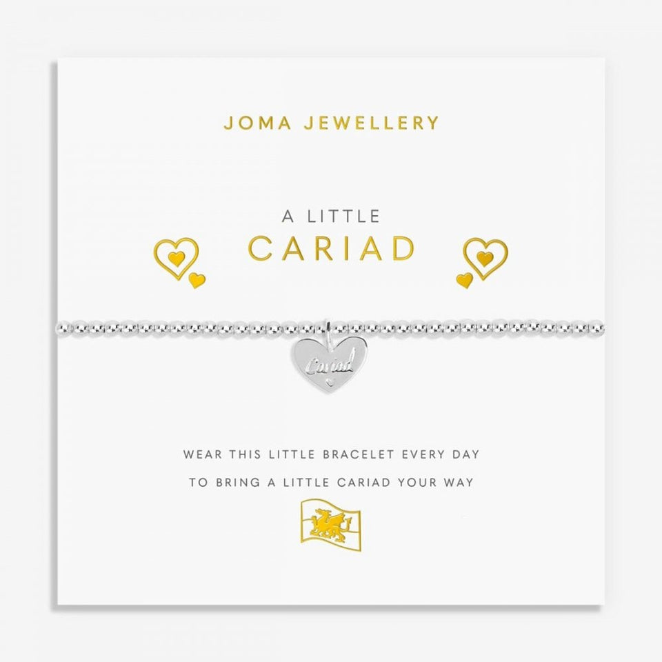 Joma Jewellery A Little 'Cariad' Welsh Bracelet