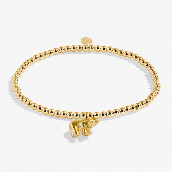 Joma Jewellery A Little 'Lucky Elephant' Bracelet In Gold Plating