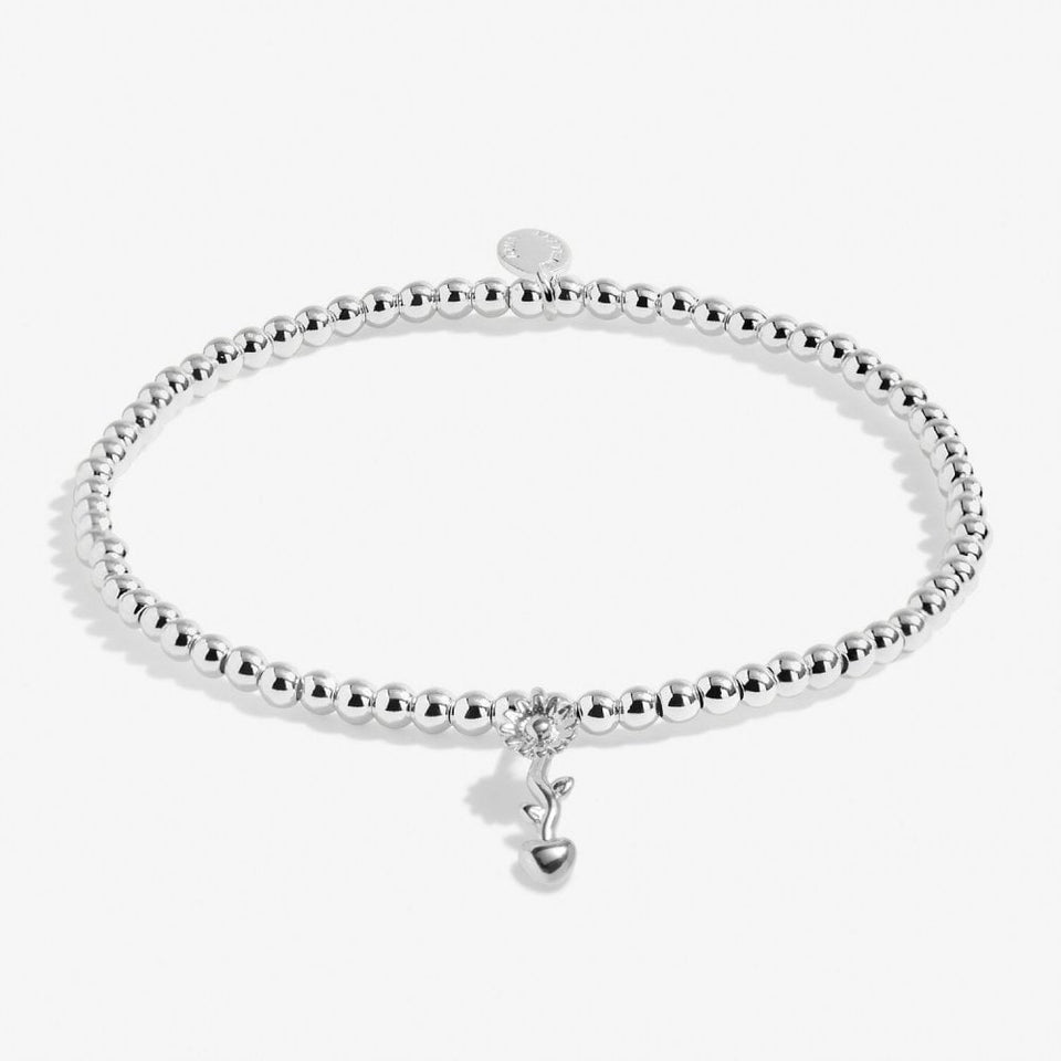 Joma Jewellery A Little 'Teachers Plant Seeds That Grow Forever' Bracelet