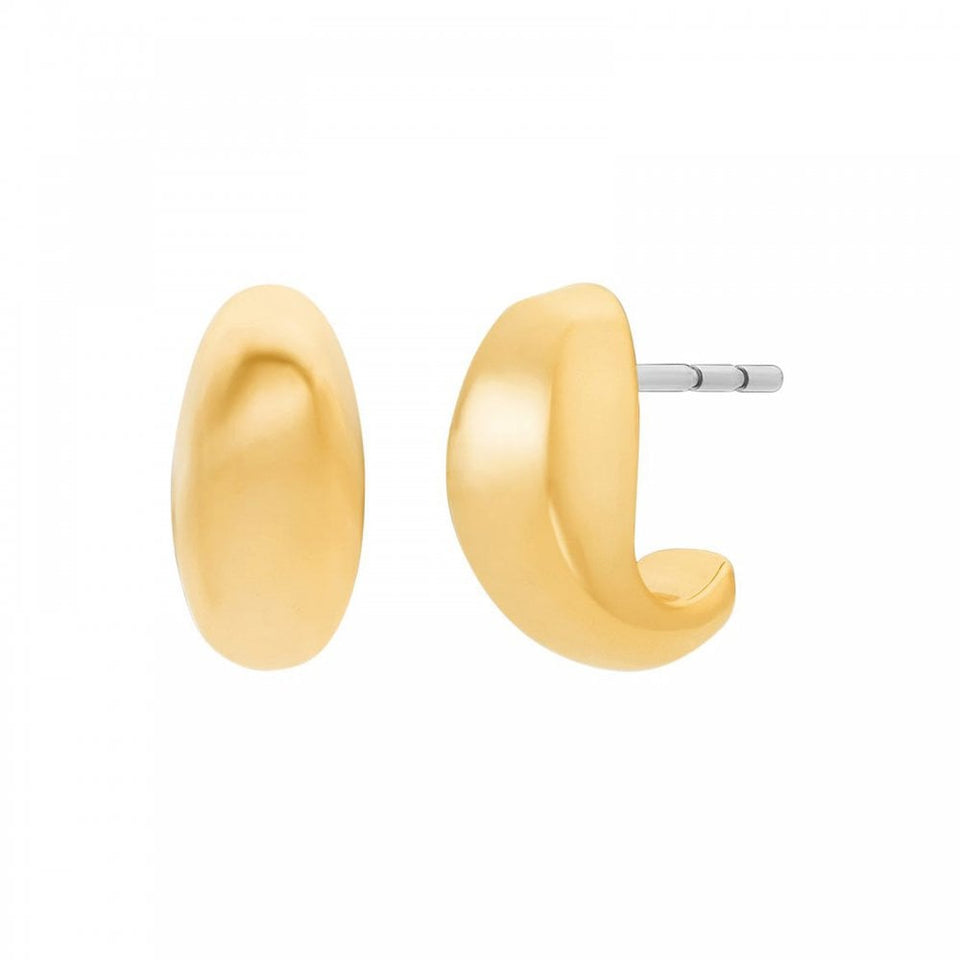 Michael Kors Ladies Premium Muse Gold Tone Stud Earrings