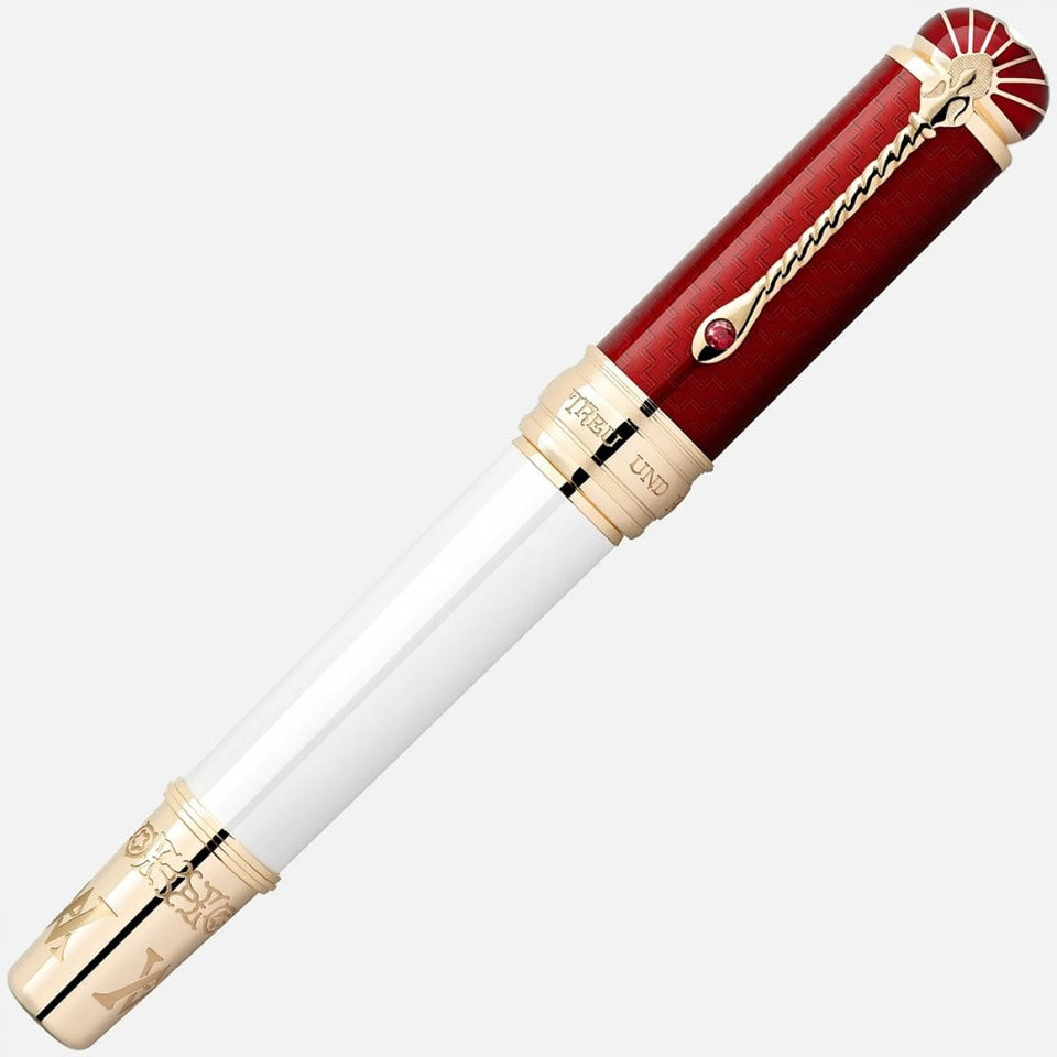 Montblanc Patron of Art Homage to Albert Limited Edition 4810 Fountain Pen (M)