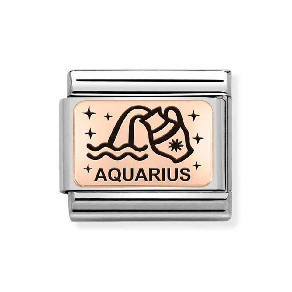 Nomination CLASSIC Rose Aquarius Charm