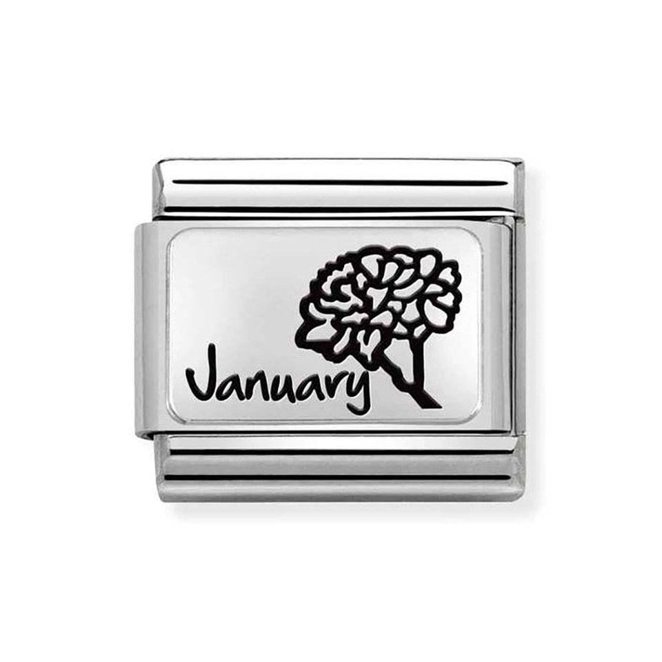 Nomination CLASSIC Silvershine January Flower Charm