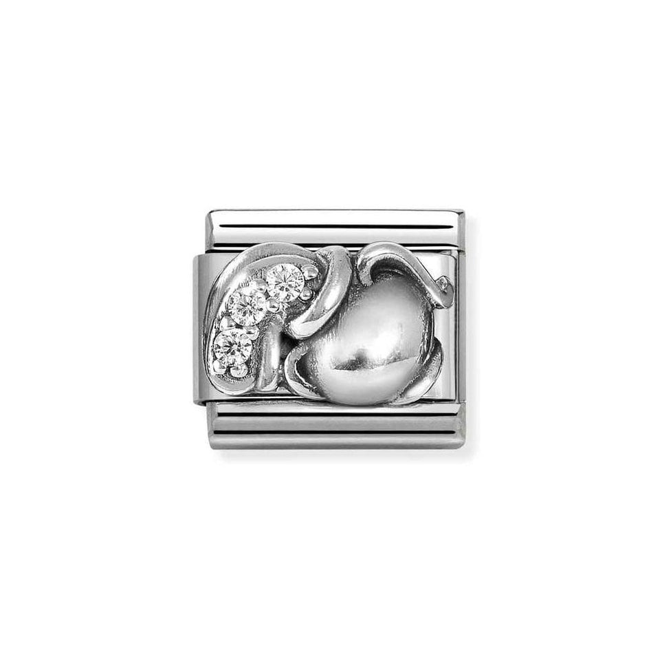 Nomination CLASSIC Silvershine Zodiac Aquarius Charm