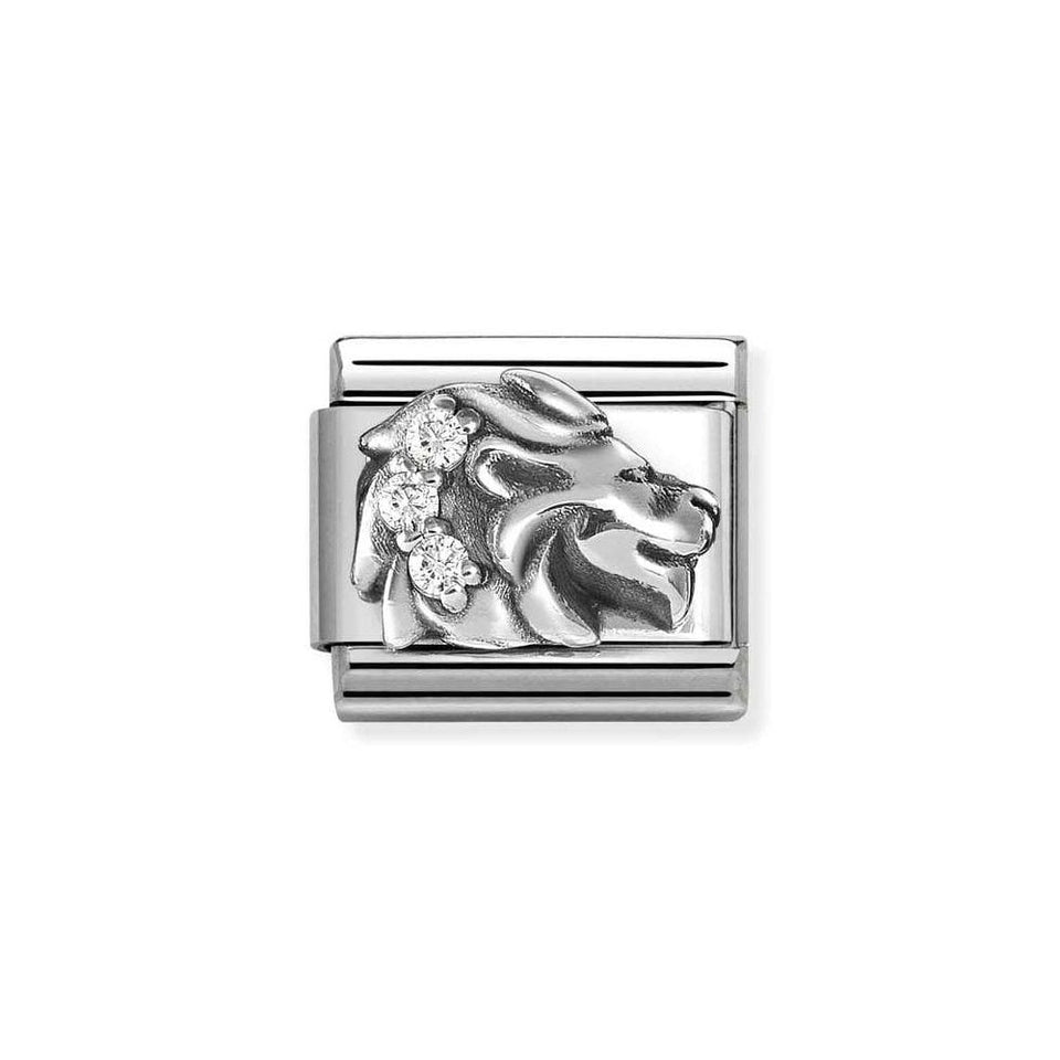 Nomination CLASSIC Silvershine Zodiac Leo Charm