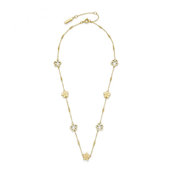 Olivia Burton Ladies Forget Me Not Gold Tone Flower Necklace