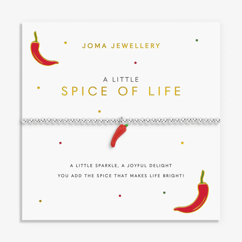 Joma Jewellery A Little Vibes 'Spice of Life' Bracelet
